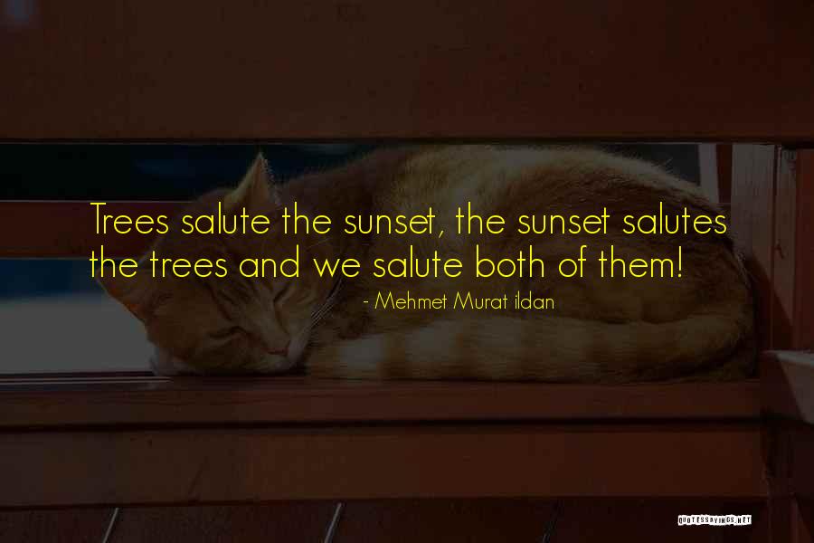 P195 75r14 Quotes By Mehmet Murat Ildan P195 75r14 Quotes By Mehmet Murat Ildan