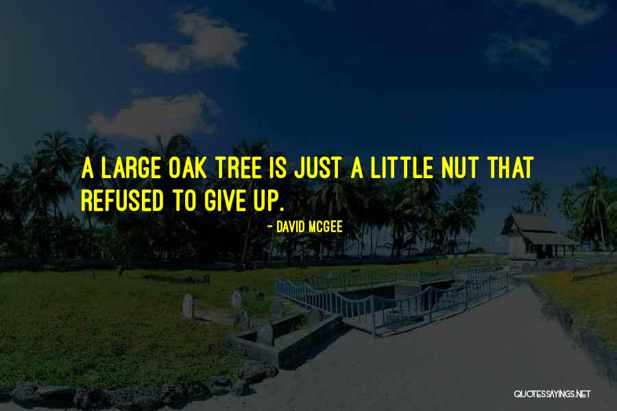 P2002 Quotes By David McGee