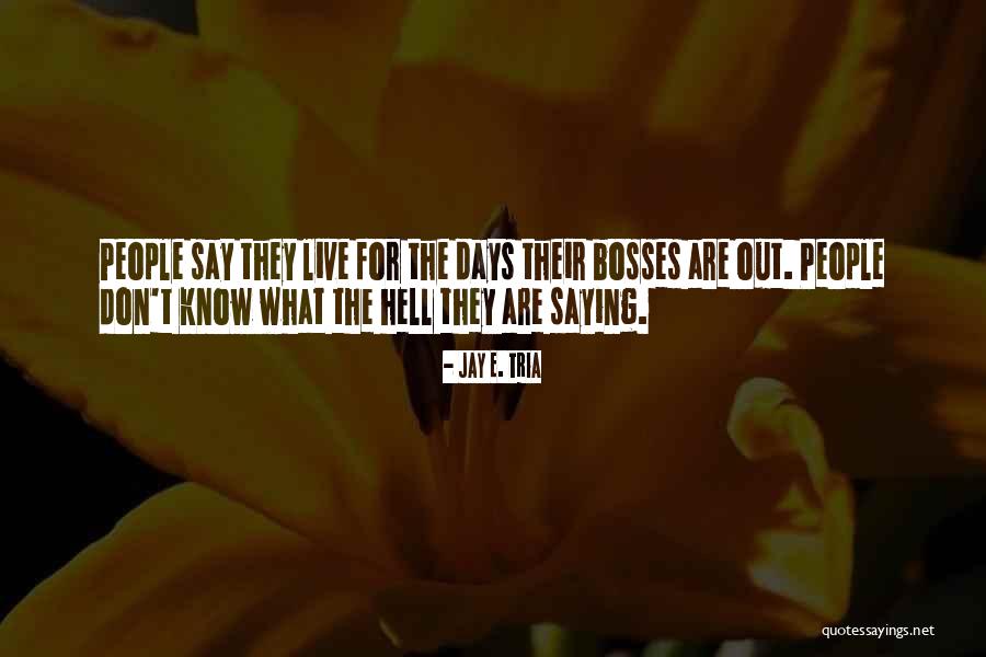 P204f Quotes By Jay E. Tria P204f Quotes By Jay E. Tria