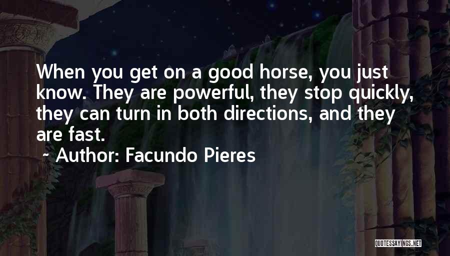 P2610 Quotes By Facundo Pieres