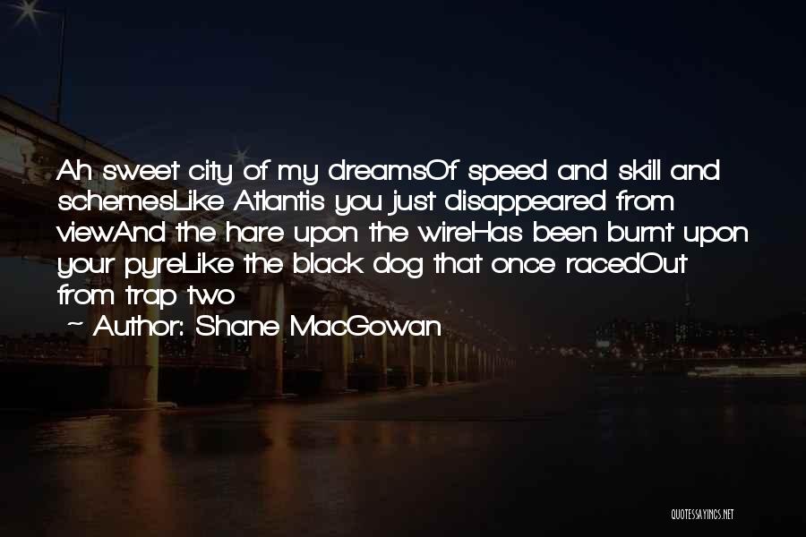 P308tt2 Quotes By Shane MacGowan