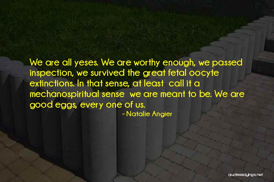 P30sk Quotes By Natalie Angier P30sk Quotes By Natalie Angier