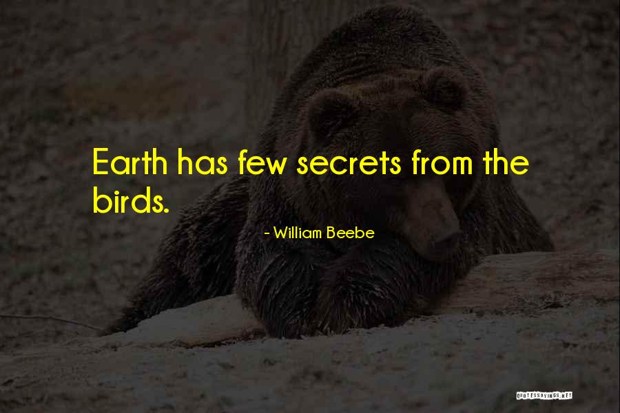 P38 Aircraft Quotes By William Beebe P38 Aircraft Quotes By William Beebe