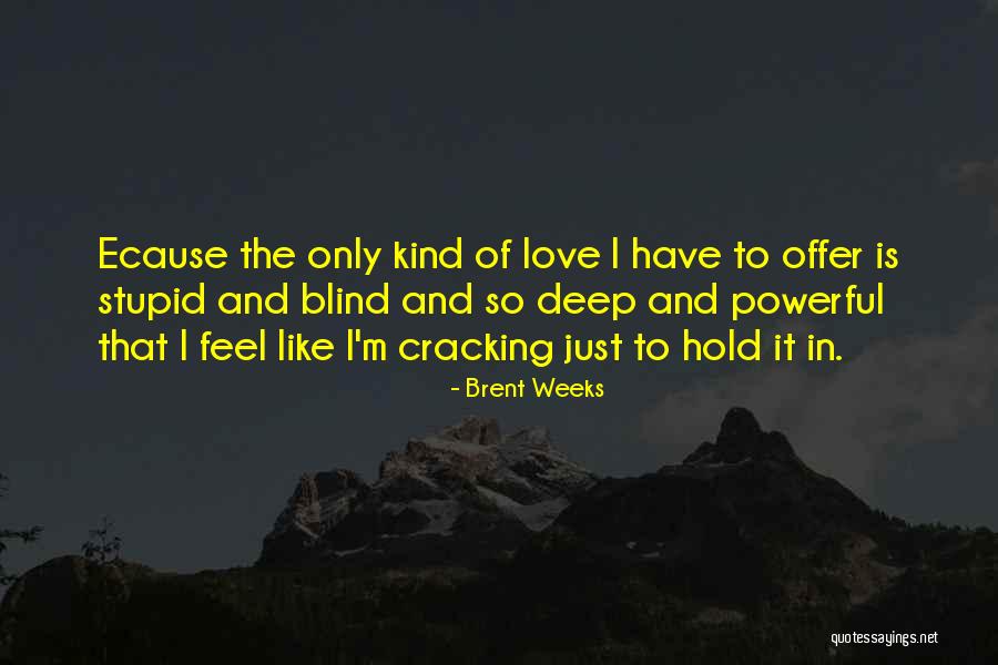 P41 Warhawk Quotes By Brent Weeks P41 Warhawk Quotes By Brent Weeks