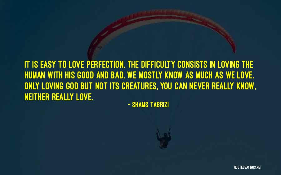 Paasa Bisaya Quotes By Shams Tabrizi Paasa Bisaya Quotes By Shams Tabrizi