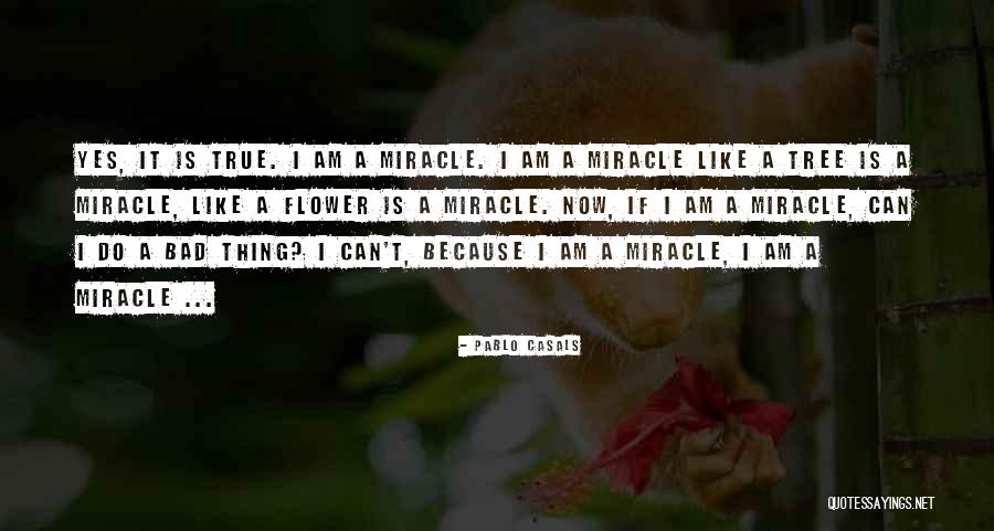 Pablo Casals Quotes 1048507 Pablo Casals Quotes 1048507