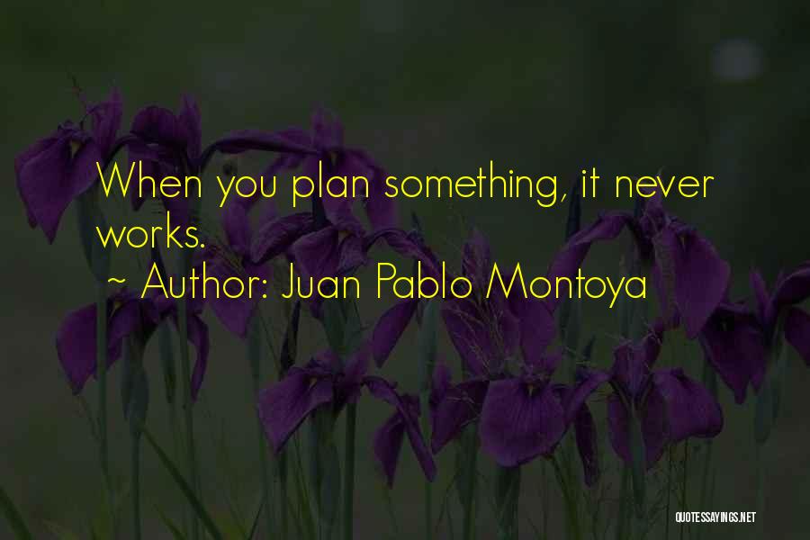 Pablo Montoya Quotes By Juan Pablo Montoya