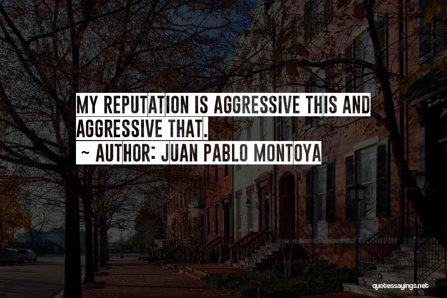 Pablo Montoya Quotes By Juan Pablo Montoya