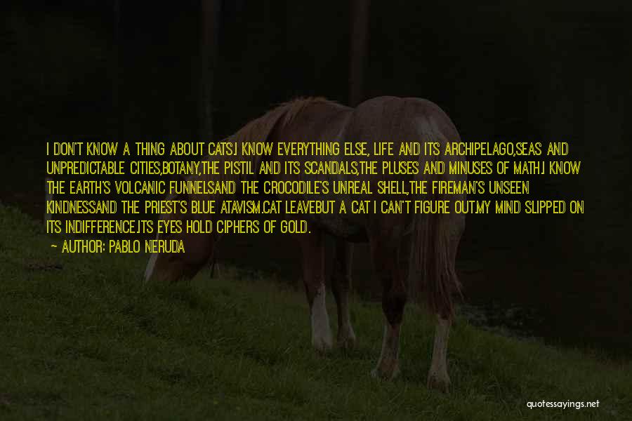 Pablo Neruda Quotes 1079536