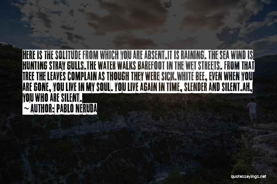 Pablo Neruda Quotes 1393895
