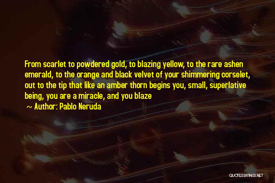 Pablo Neruda Quotes 282238