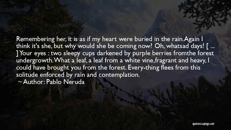 Pablo Neruda Quotes 325629