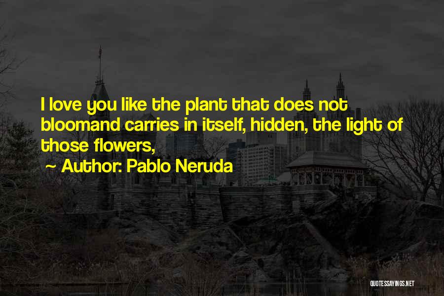 Pablo Neruda Quotes 726198