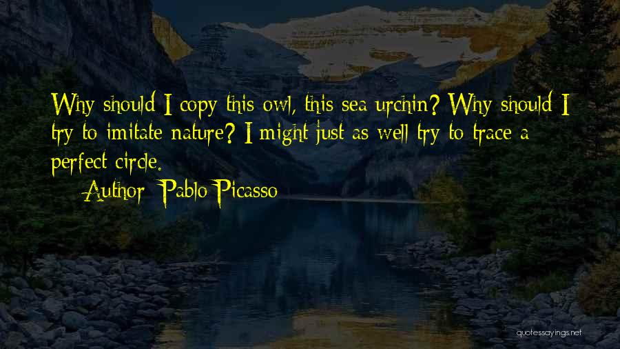 Pablo Picasso Quotes 516631