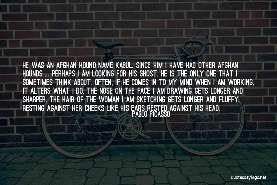 Pablo Picasso Quotes 958872 Pablo Picasso Quotes 958872