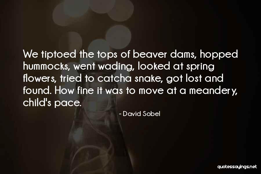 Pace Of Nature Quotes By David Sobel Pace Of Nature Quotes By David Sobel
