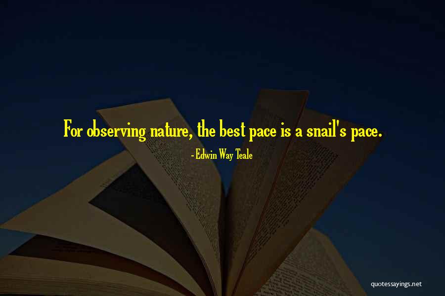 Pace Of Nature Quotes By Edwin Way Teale