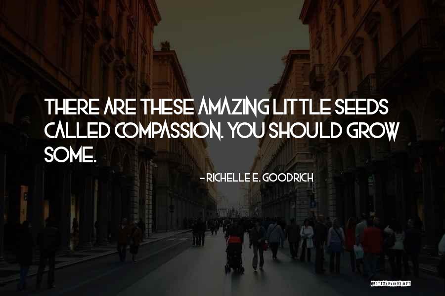 Pachas Menu Quotes By Richelle E. Goodrich Pachas Menu Quotes By Richelle E. Goodrich