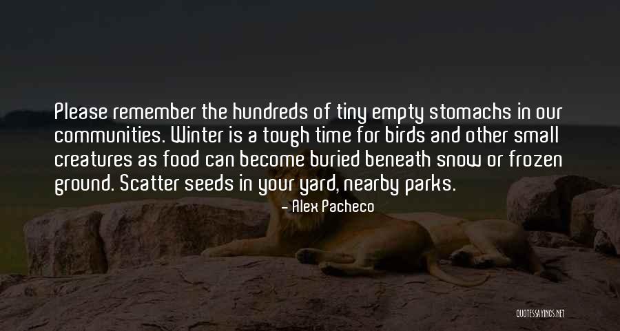 Pacheco Quotes By Alex Pacheco Pacheco Quotes By Alex Pacheco