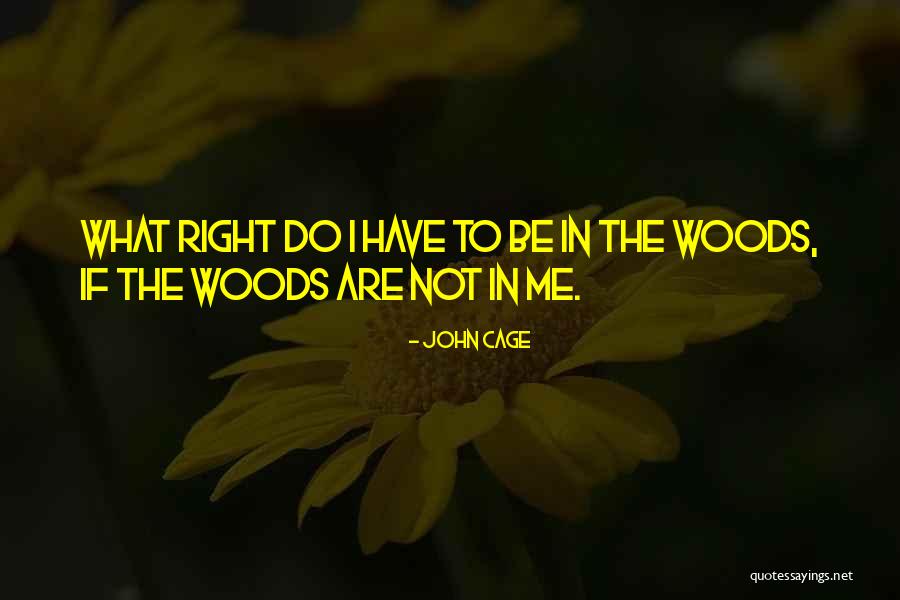 Pacienza Rob Quotes By John Cage Pacienza Rob Quotes By John Cage