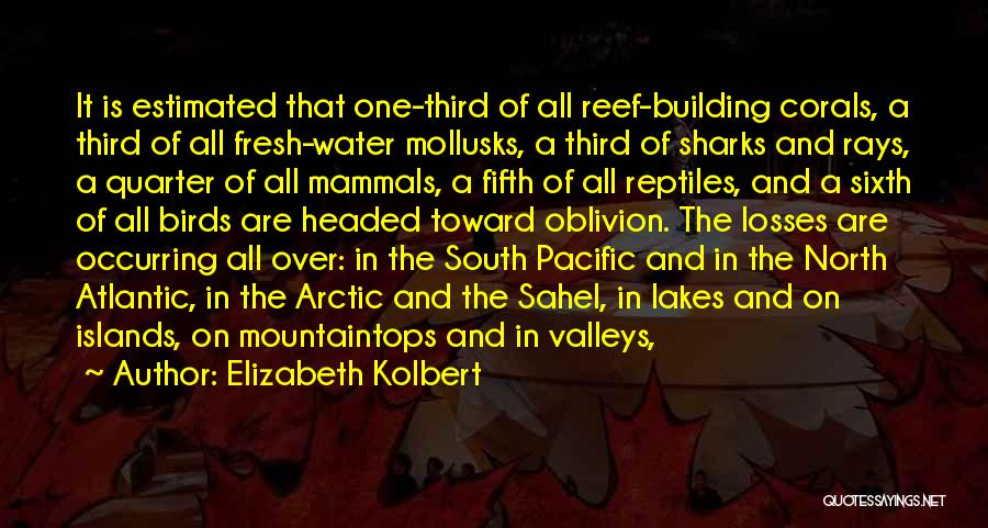 Pacific Islands Quotes By Elizabeth Kolbert