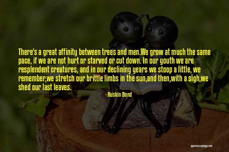Pacifists In The Revolutionary Quotes By Ruskin Bond Pacifists In The Revolutionary Quotes By Ruskin Bond