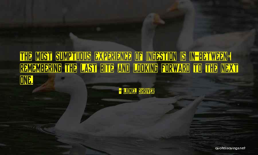 Pacinos Mediterranean Quotes By Lionel Shriver Pacinos Mediterranean Quotes By Lionel Shriver