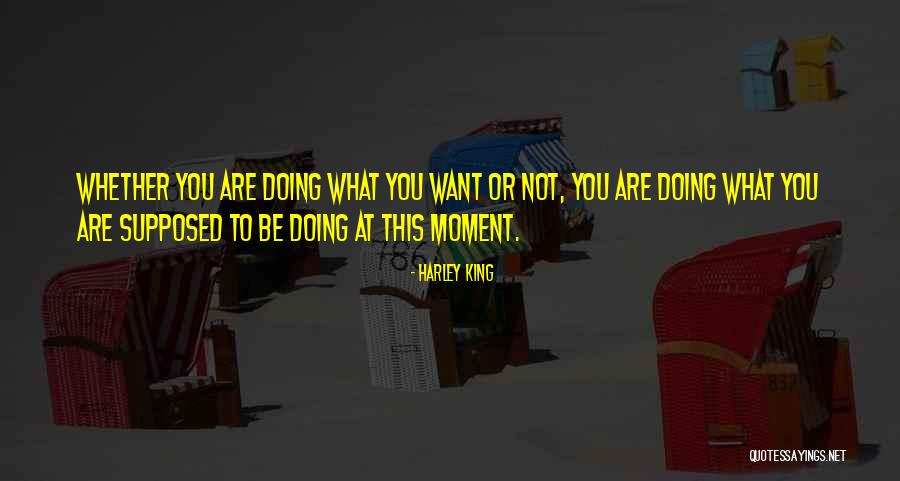 Pacinotti Mestre Quotes By Harley King