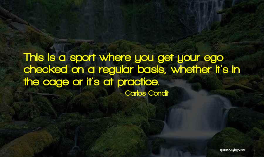 Pack Historian Quotes By Carlos Condit Pack Historian Quotes By Carlos Condit