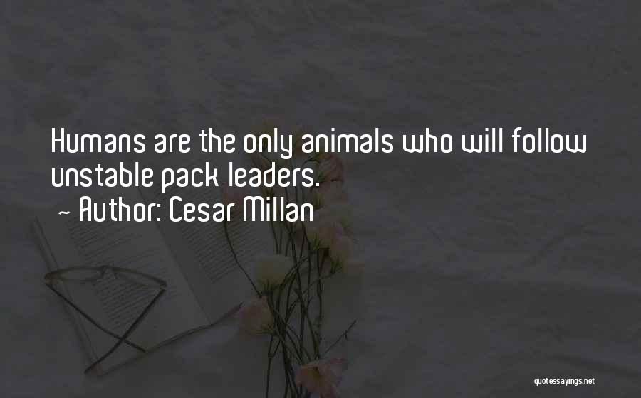 Pack Leader Quotes By Cesar Millan