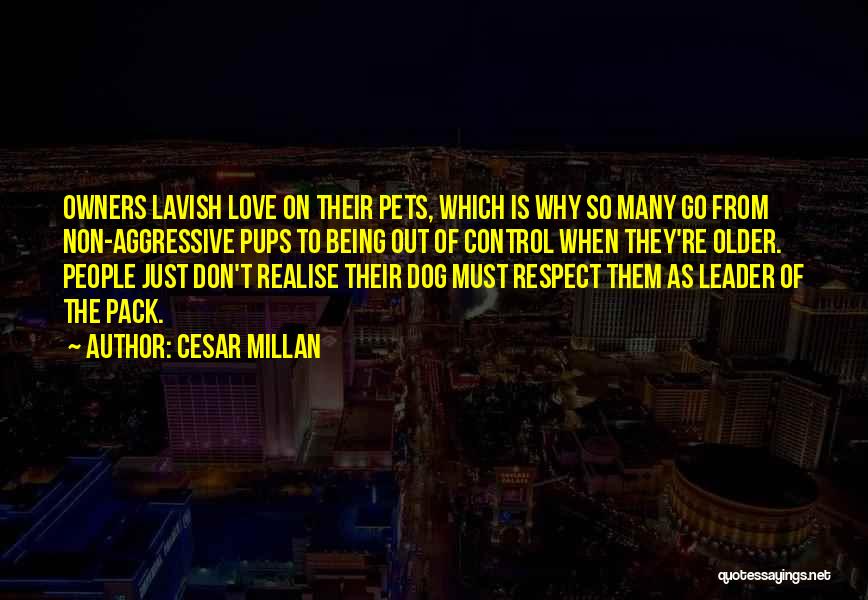 Pack Leader Quotes By Cesar Millan