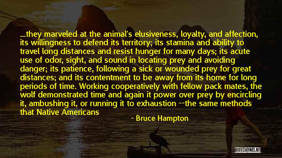 Pack Mates Quotes By Bruce Hampton Pack Mates Quotes By Bruce Hampton