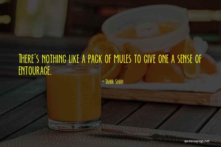 Pack Mules Quotes By Tahir Shah Pack Mules Quotes By Tahir Shah