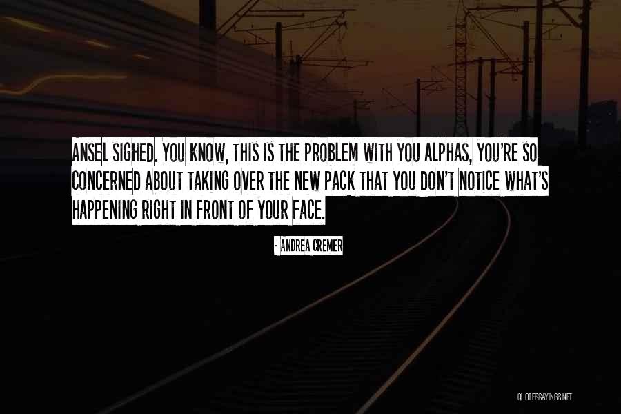 Pack Of Wolves Quotes By Andrea Cremer Pack Of Wolves Quotes By Andrea Cremer