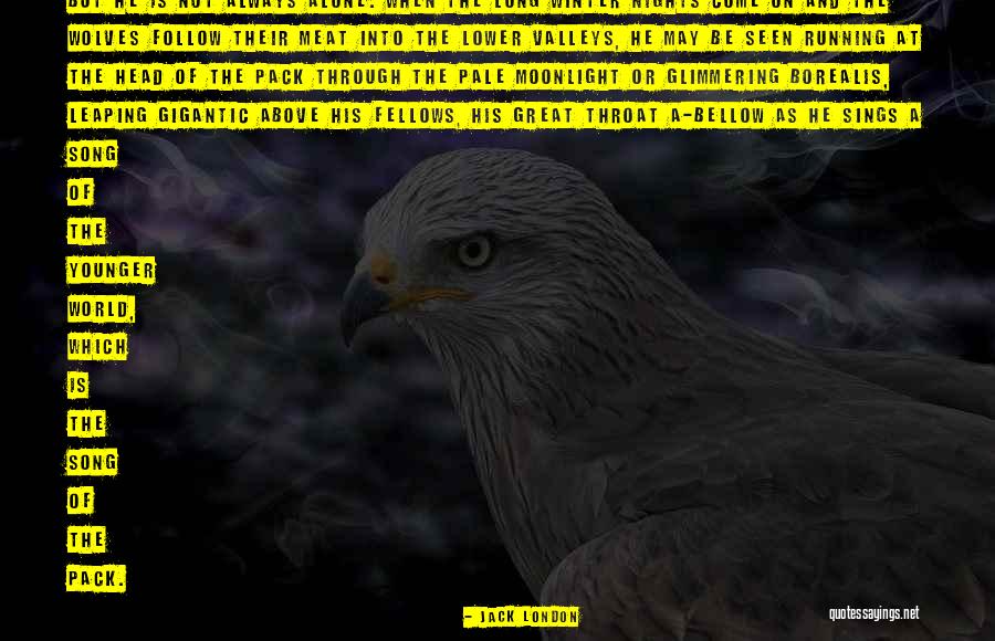 Pack Of Wolves Quotes By Jack London Pack Of Wolves Quotes By Jack London