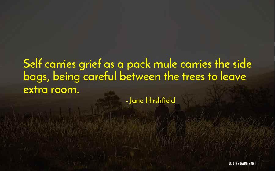 Pack Up And Leave Quotes By Jane Hirshfield Pack Up And Leave Quotes By Jane Hirshfield
