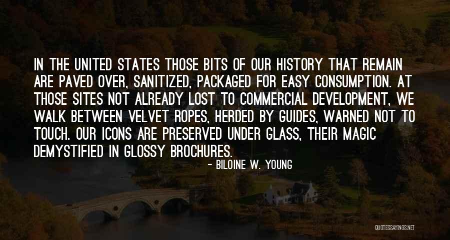 Packaged Quotes By Biloine W. Young Packaged Quotes By Biloine W. Young