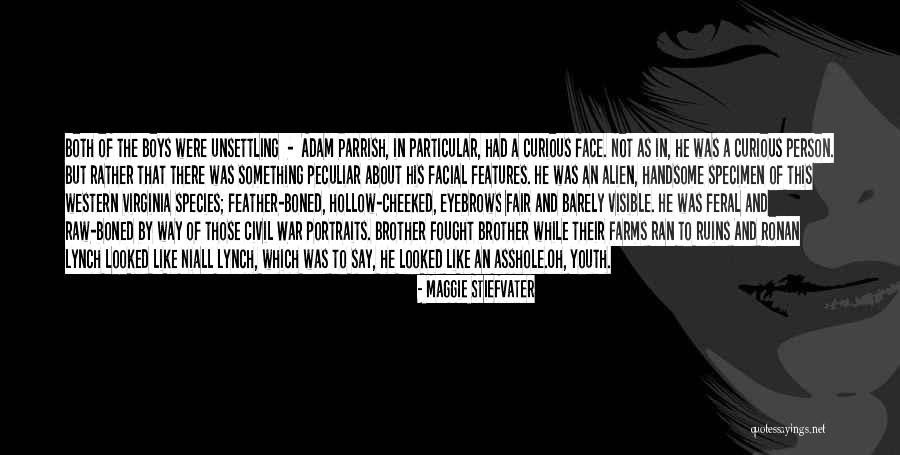 Packbot Recording Quotes By Maggie Stiefvater Packbot Recording Quotes By Maggie Stiefvater
