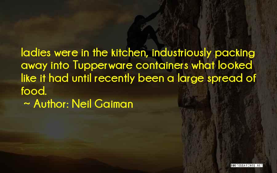 Packing Quotes By Neil Gaiman