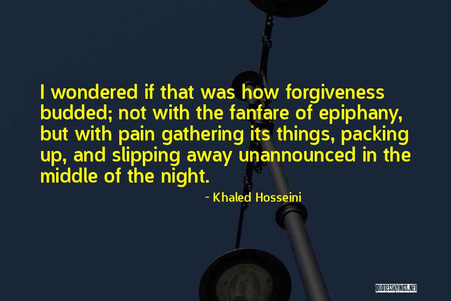 Packing Up Quotes By Khaled Hosseini Packing Up Quotes By Khaled Hosseini