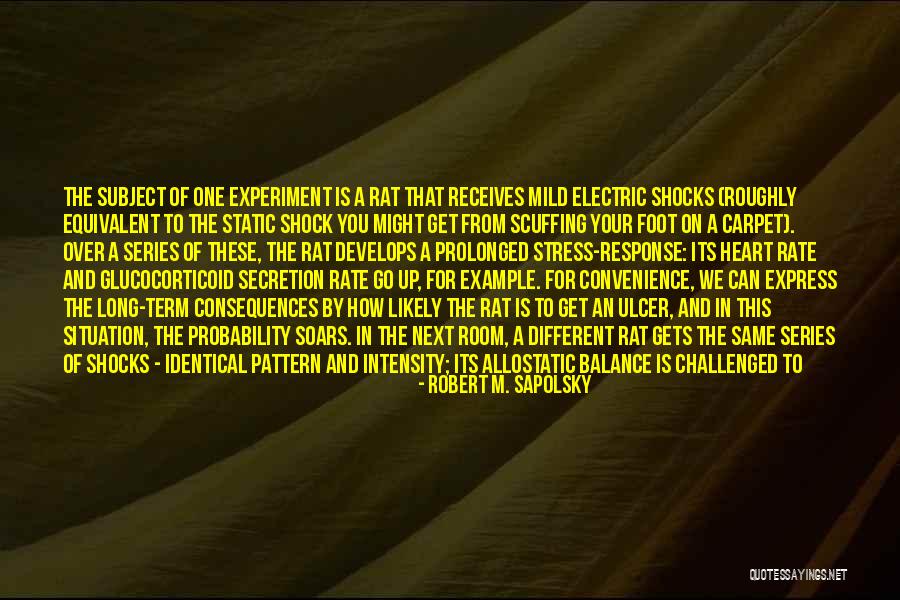 Packmate 95000 Quotes By Robert M. Sapolsky Packmate 95000 Quotes By Robert M. Sapolsky