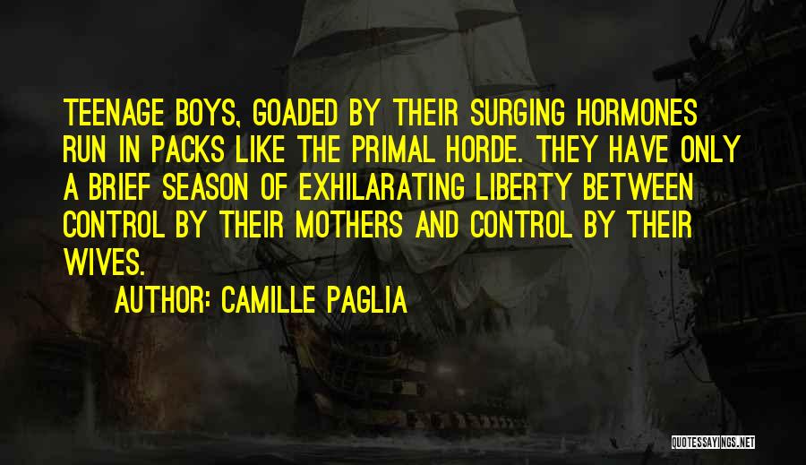 Packs Quotes By Camille Paglia
