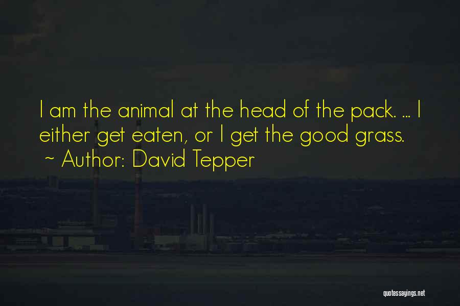 Packs Quotes By David Tepper