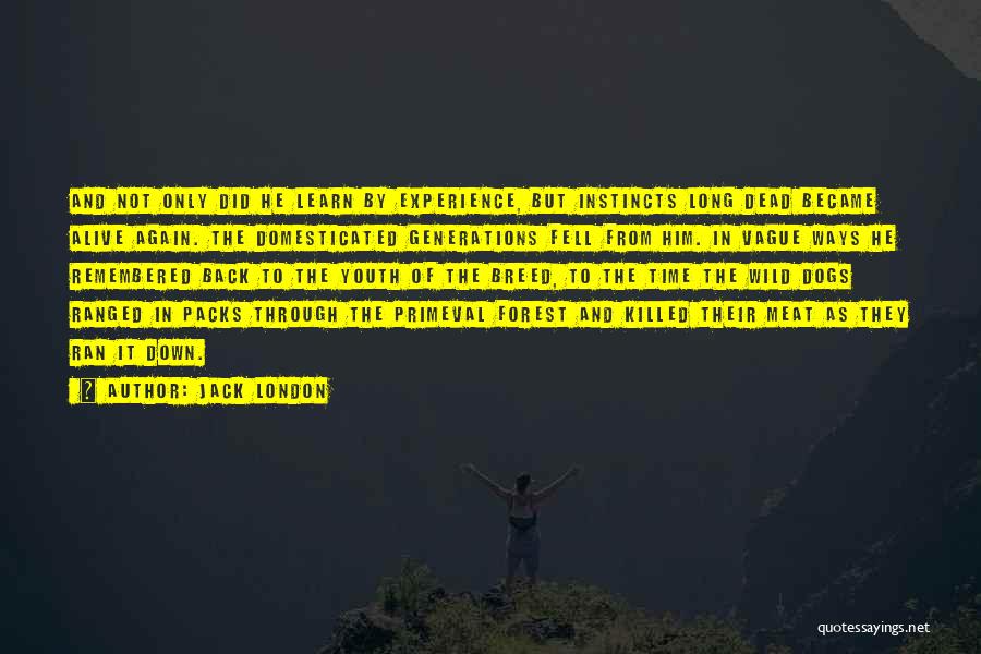Packs Quotes By Jack London