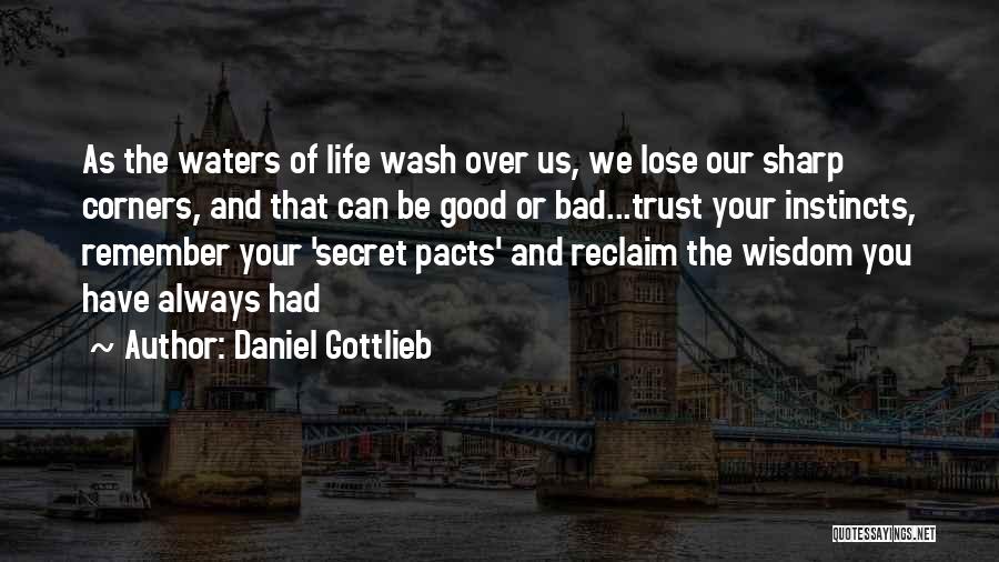 Pacts Quotes By Daniel Gottlieb