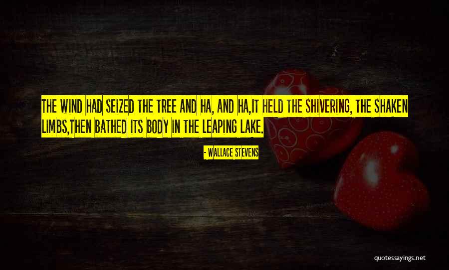 Paczuk Quotes By Wallace Stevens Paczuk Quotes By Wallace Stevens