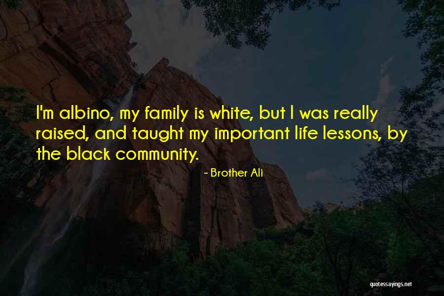 Paczyna Quotes By Brother Ali Paczyna Quotes By Brother Ali