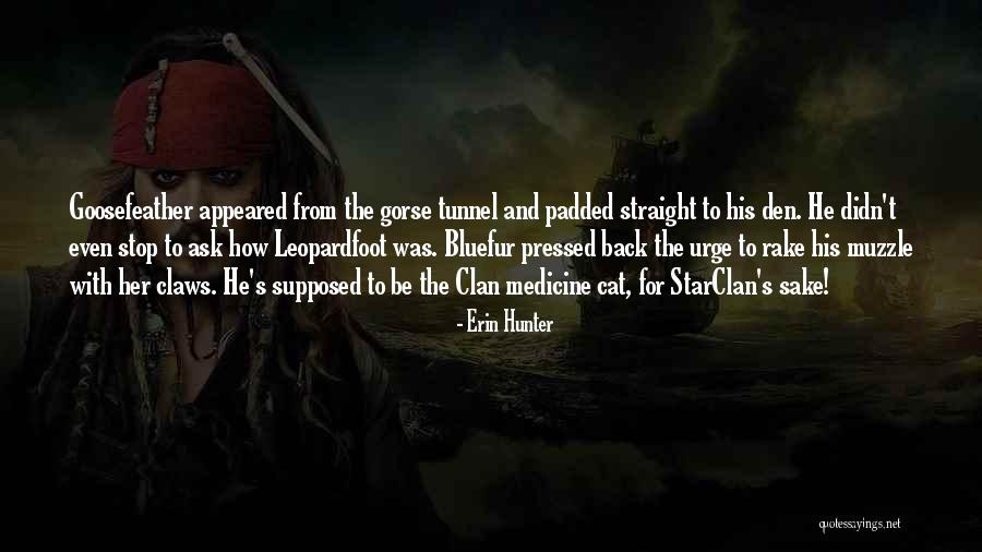 Padded Quotes By Erin Hunter Padded Quotes By Erin Hunter