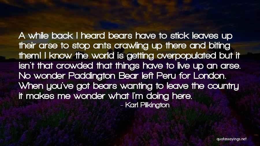 Paddington Bear Quotes By Karl Pilkington Paddington Bear Quotes By Karl Pilkington