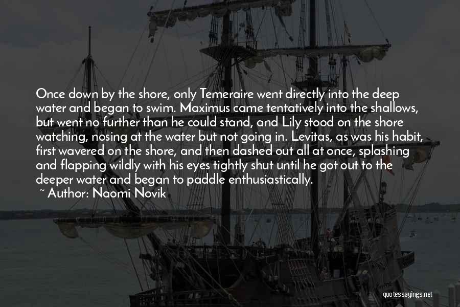 Paddle Quotes By Naomi Novik